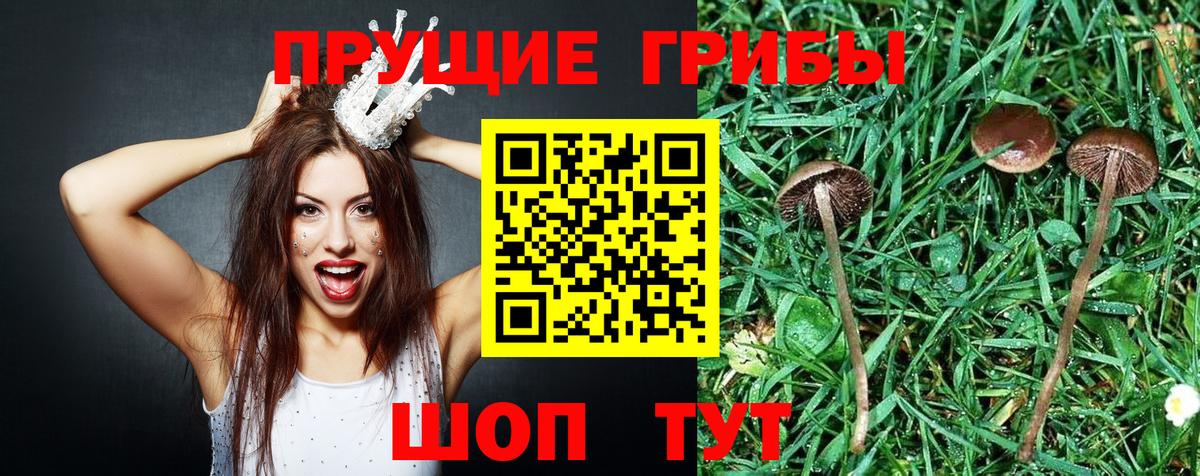 наркошоп  Галлюциногенные грибы GOLDEN TEACHER  Галлюциногенные грибы прущие грибы  Вход с VPN  Узловая 