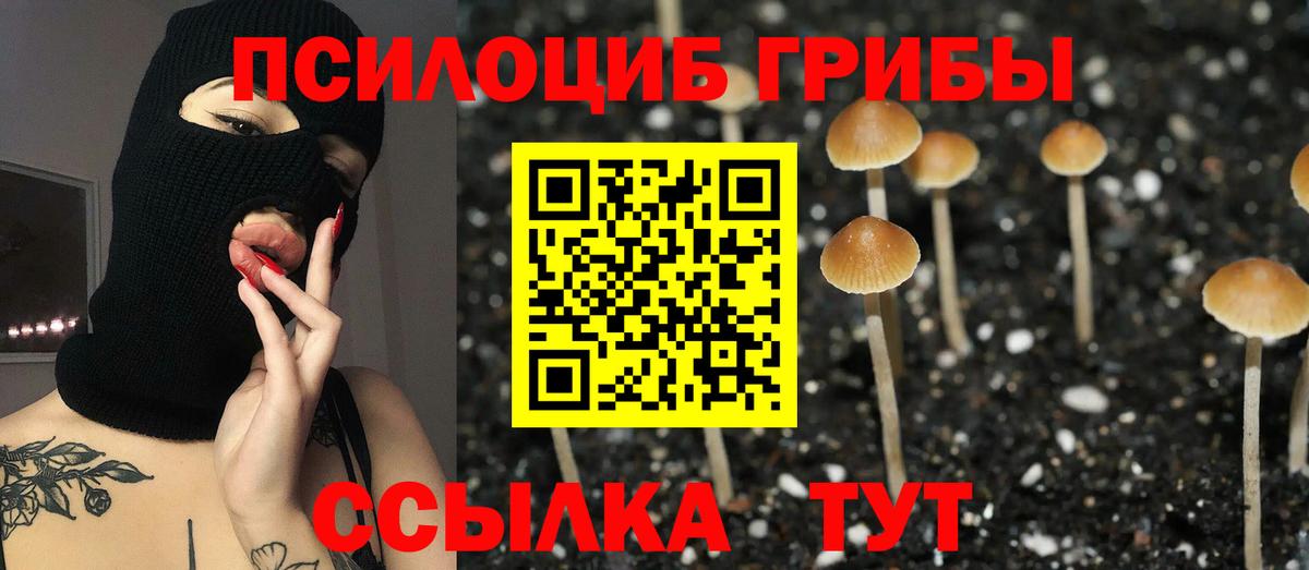 Галлюциногенные грибы мухоморы Узловая